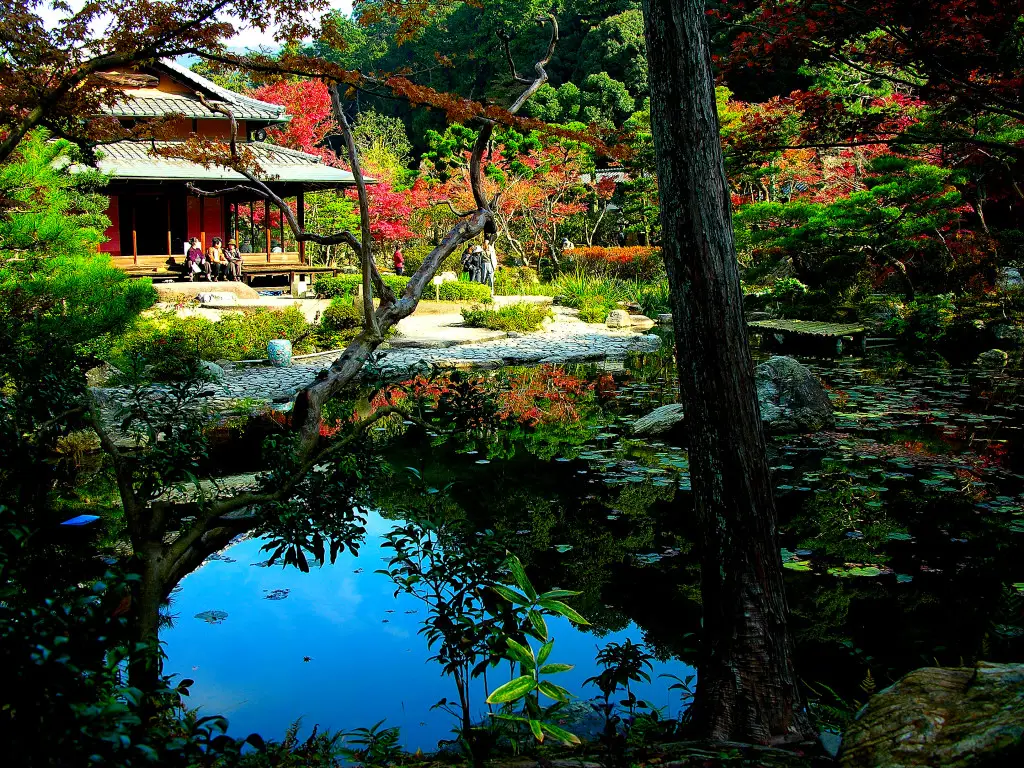 Taman Jepang dengan berbagai macam bunga