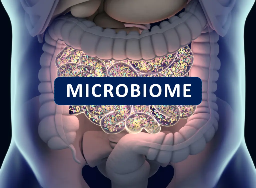 Mikrobiota usus yang sehat pada hewan