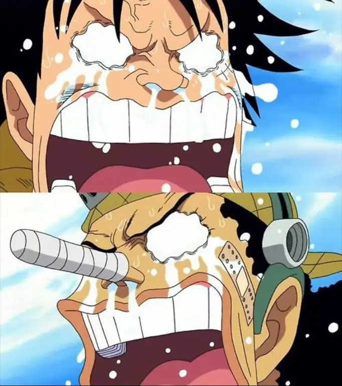 Gambar Usopp menangis dalam One Piece