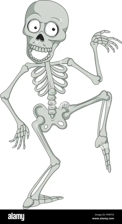 Adegan lucu dari anime skeleton