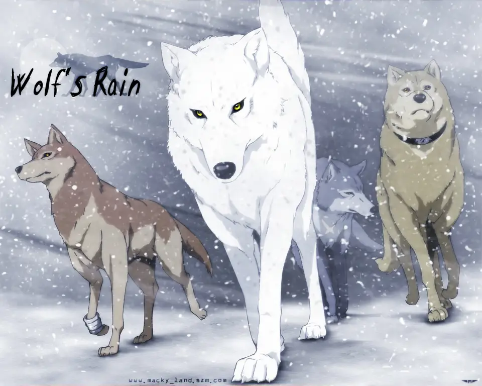 Gambar cuplikan anime Wolf's Rain