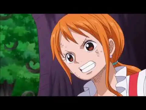 Cuplikan gambar dari One Piece episode 808