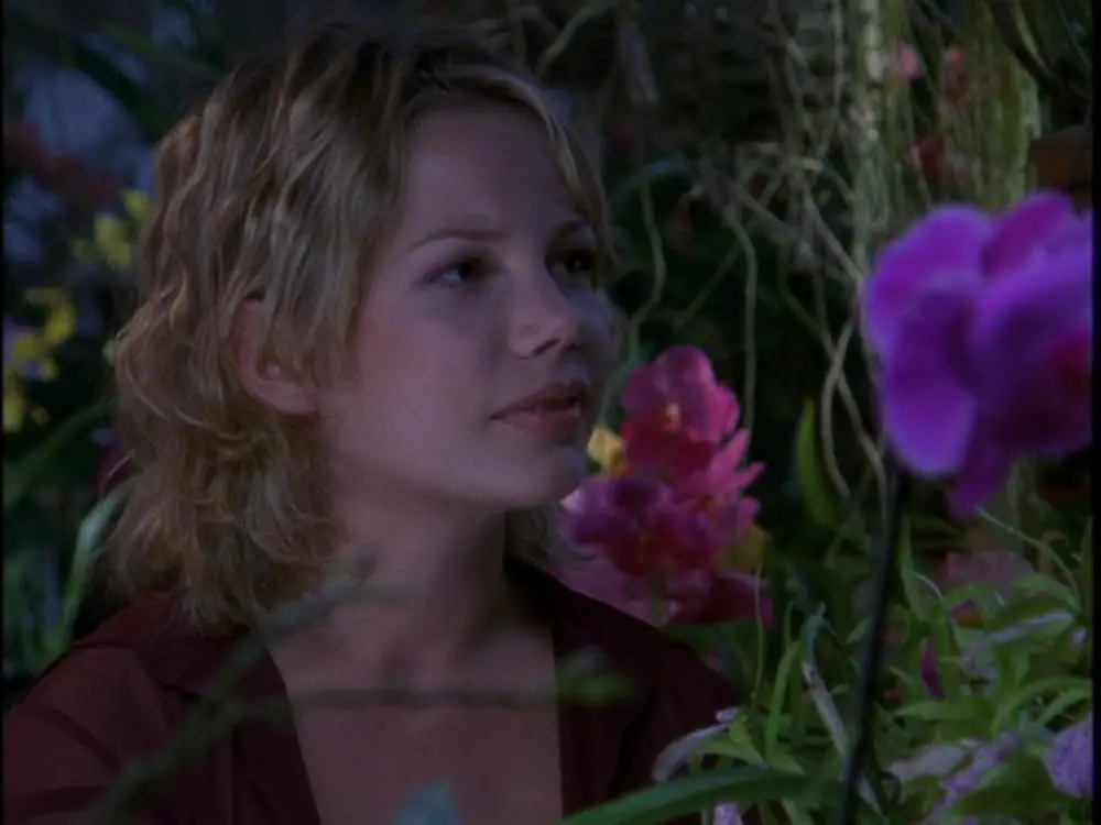 Gambar adegan penting dari Dawson's Creek musim 6