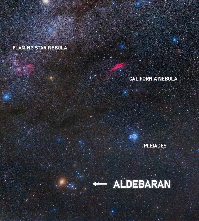 Aldebaran dan Andin dalam Ikatan Cinta