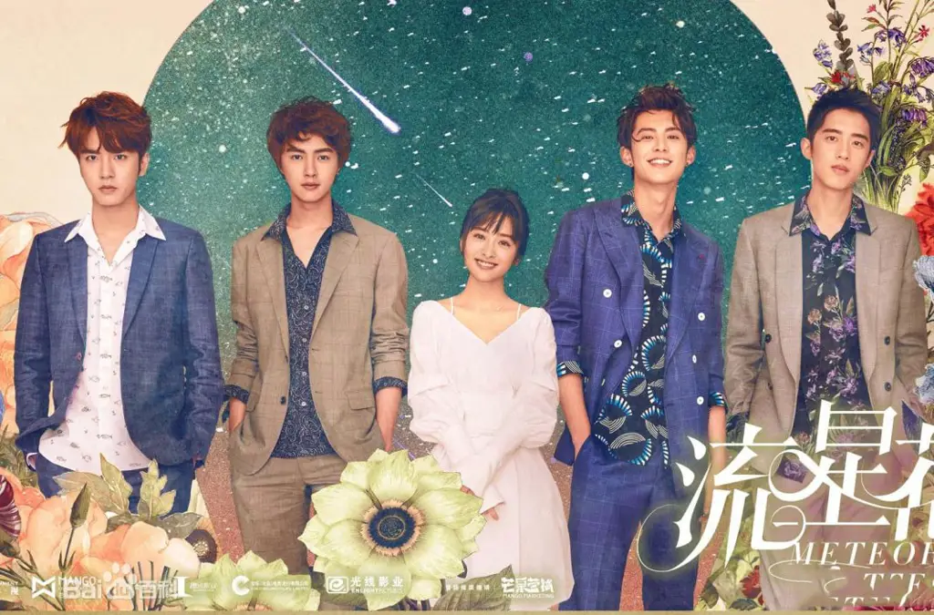 Adegan romantis Dao Ming Si dan Shan Cai di Meteor Garden