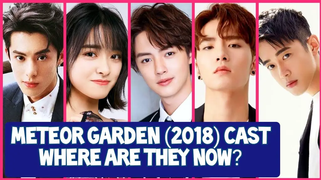 Adegan romantis dari Meteor Garden 2018