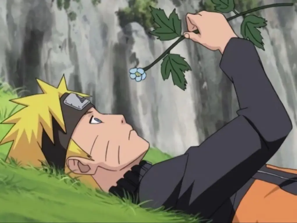 Gambar screenshot dari Naruto Shippuden episode 8