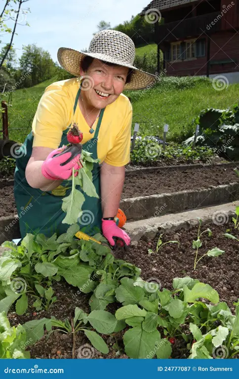 Gambar seorang nenek sedang berkebun