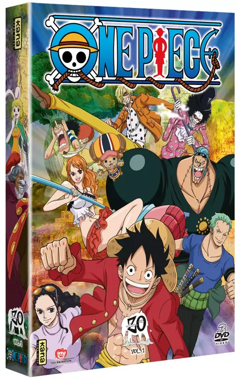 Sampul DVD atau Blu-ray One Piece