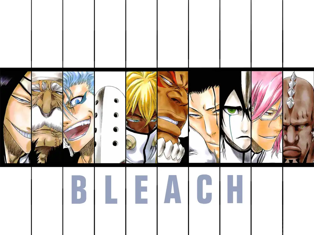 Gambar karakter utama Bleach