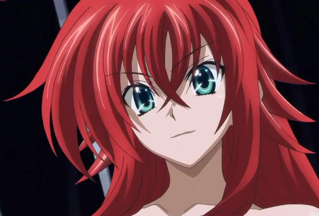 Gambar para karakter High School DxD