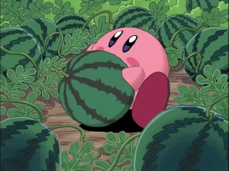 Gambar karakter-karakter utama dalam anime Sparkling Watermelon