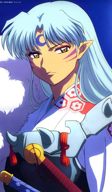 Para karakter utama dalam anime Inuyasha Karakter-karakter dalam Inuyasha