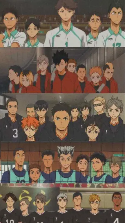 Para pemain voli Haikyuu!! yang keren Karakter-karakter utama dalam anime Haikyuu!!