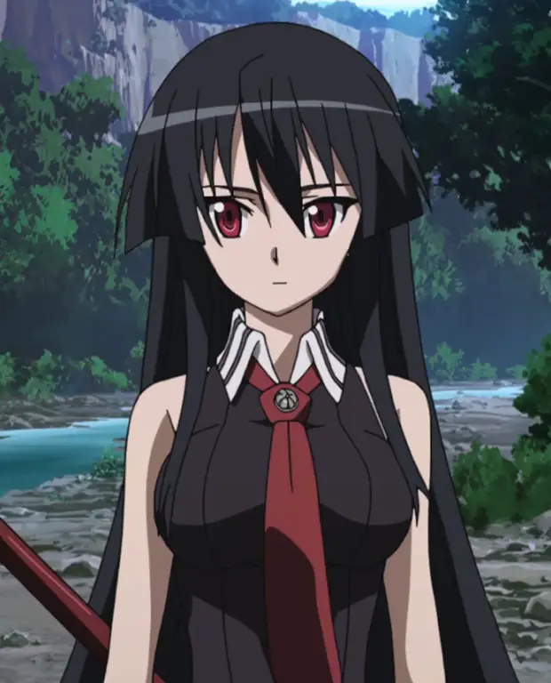 Karakter-karakter dalam Akame ga Kill