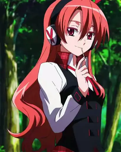 Gambar anggota Night Raid dalam Akame ga Kill