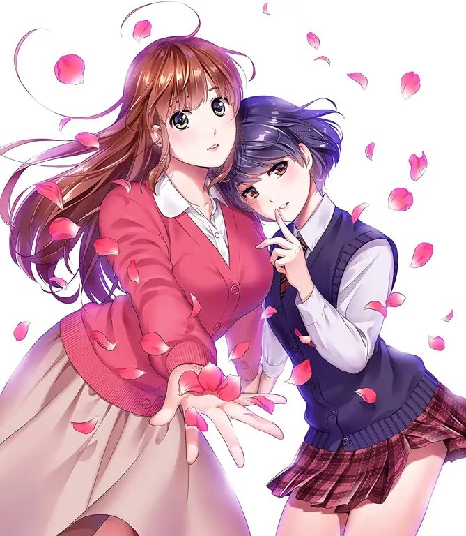 Para pemeran utama anime Domestic na Kanojo Karakter-karakter dalam anime Domestic na Kanojo