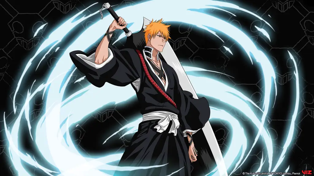 Gambar Shinigami atau Soul Reaper Bleach