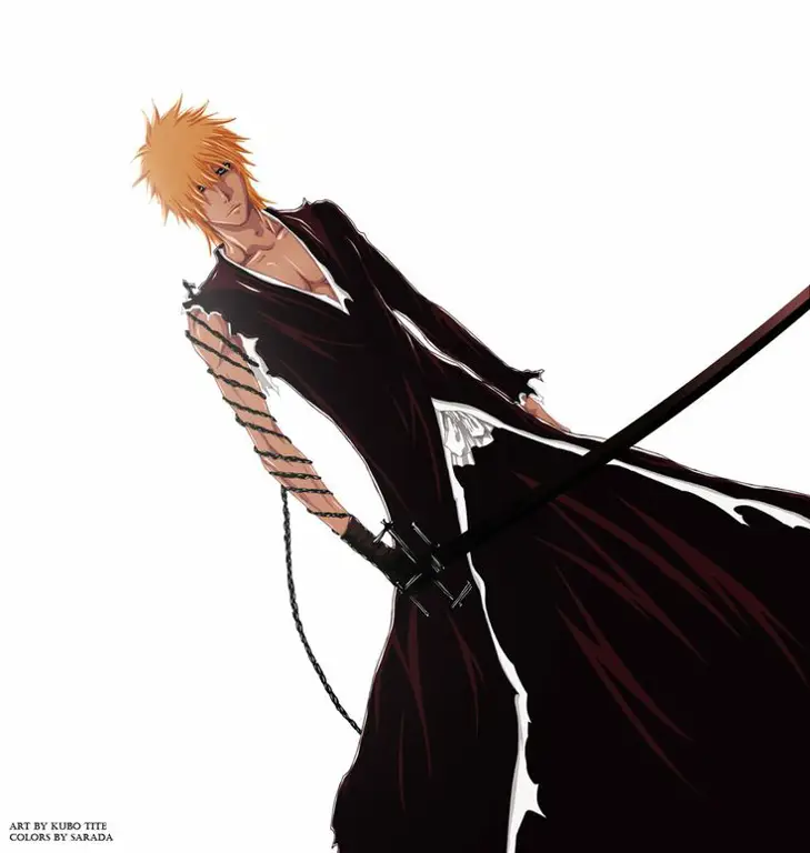 Soul Reaper dalam Bleach