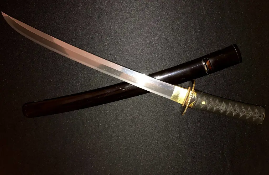 Pedang yang digunakan dalam film Pedang samurai Jepang