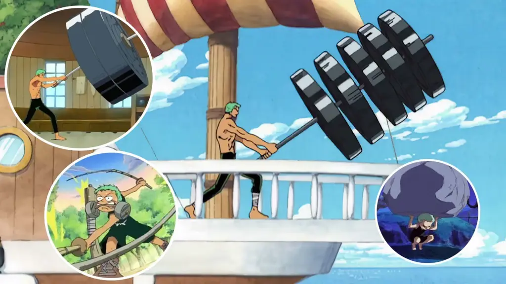 Zoro berlatih di Pulau Kuraigana