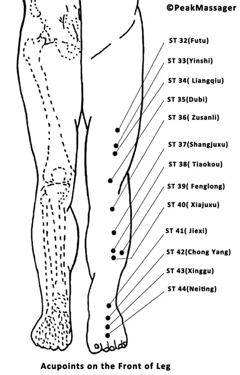 Diagram titik-titik akupunktur