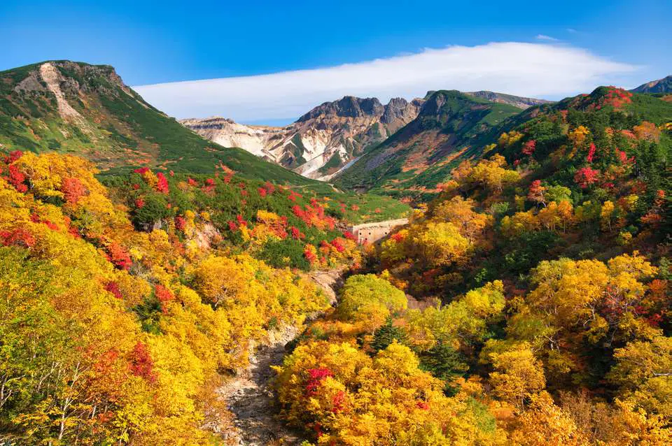 Pemandangan alam Hokkaido yang indah