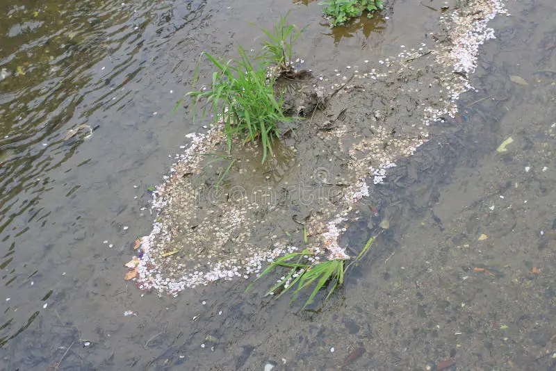 Pemandangan alam Jepang dengan sungai