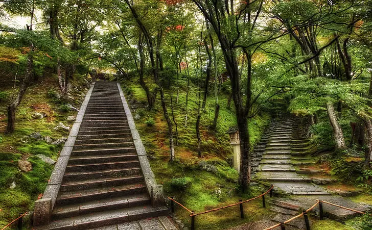 Pemandangan jalan setapak di Jepang yang indah