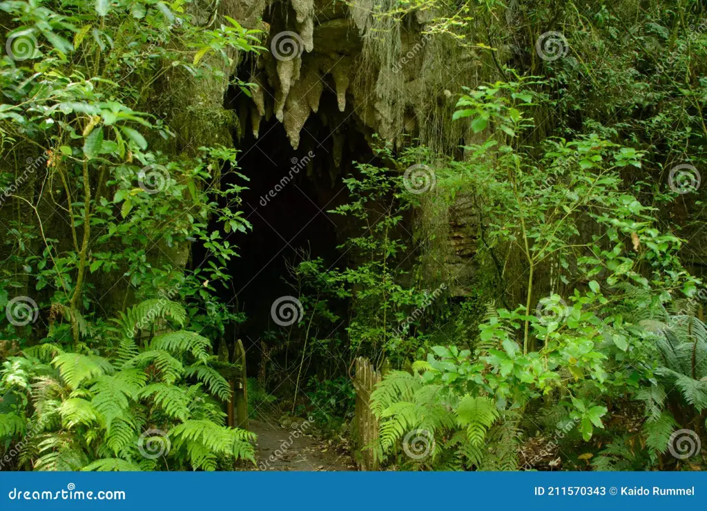 Menemukan gua tersembunyi di dalam hutan.