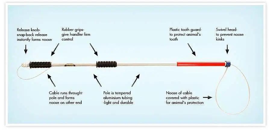 Gambar animal control pole dengan jaring