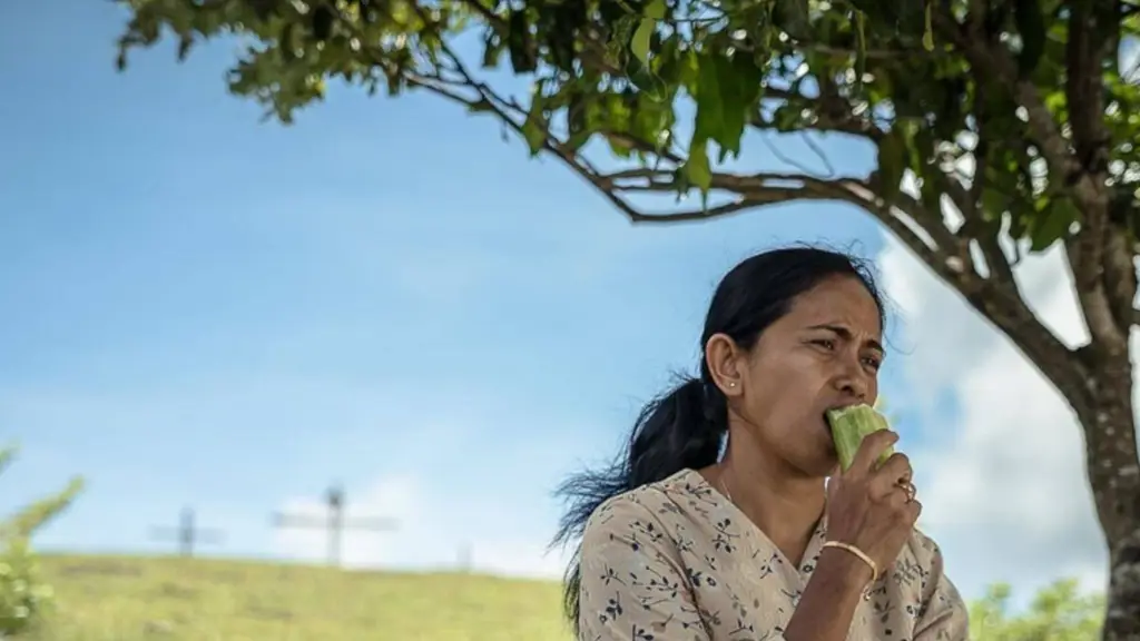 Festival film Indonesia yang menampilkan karya-karya terbaik sineas Tanah Air.