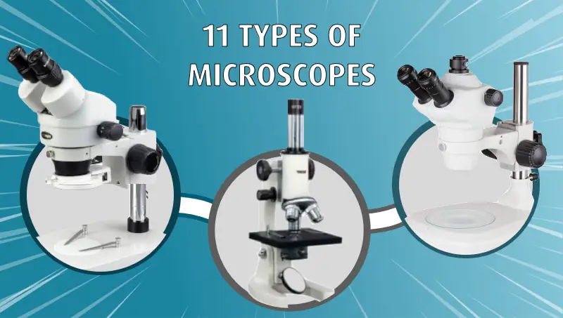 Mikroskop di laboratorium hewan