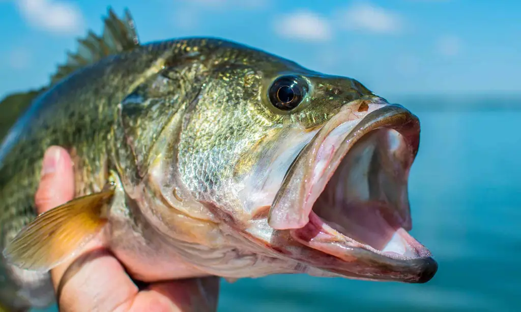 Berbagai peralatan memancing yang lengkap dan modern