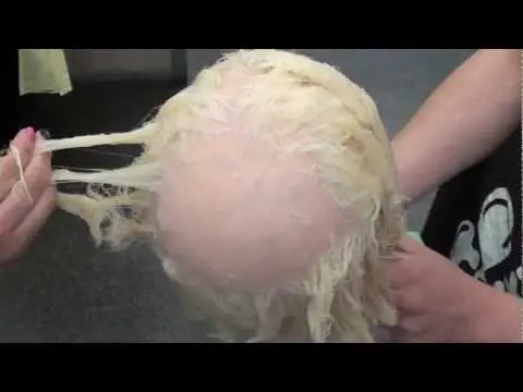 Rambut rusak setelah proses bleaching.