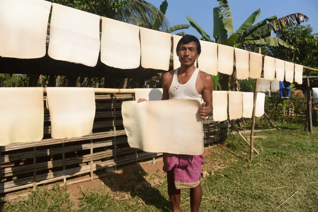 Perkebunan Karet di Asia Tenggara