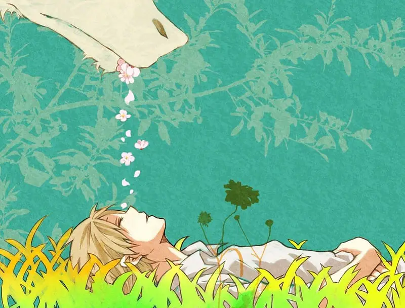 Natsume Takashi dan Madara, tokoh utama anime Natsume Yuujinchou