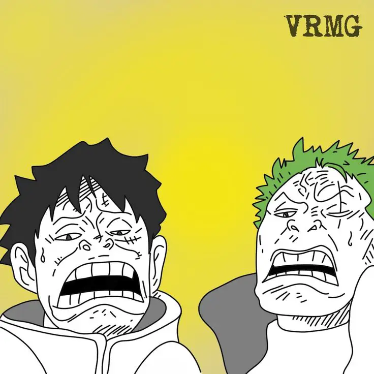 Gambar Zoro dan Luffy bersama-sama