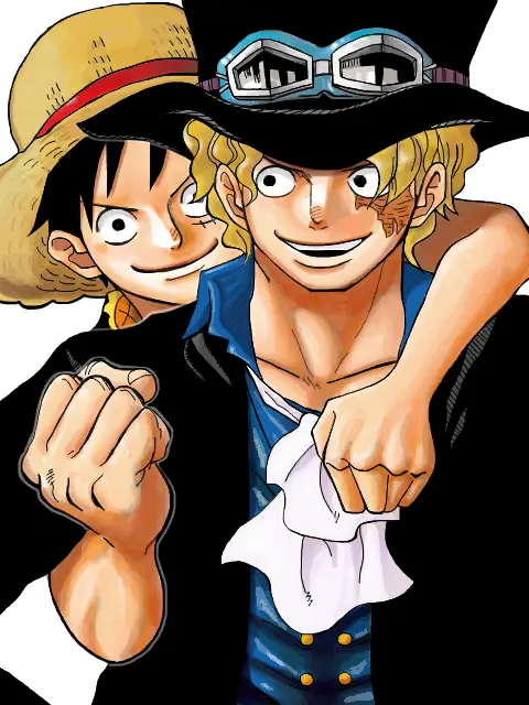 Luffy, Sabo, dan Ace bersaudara