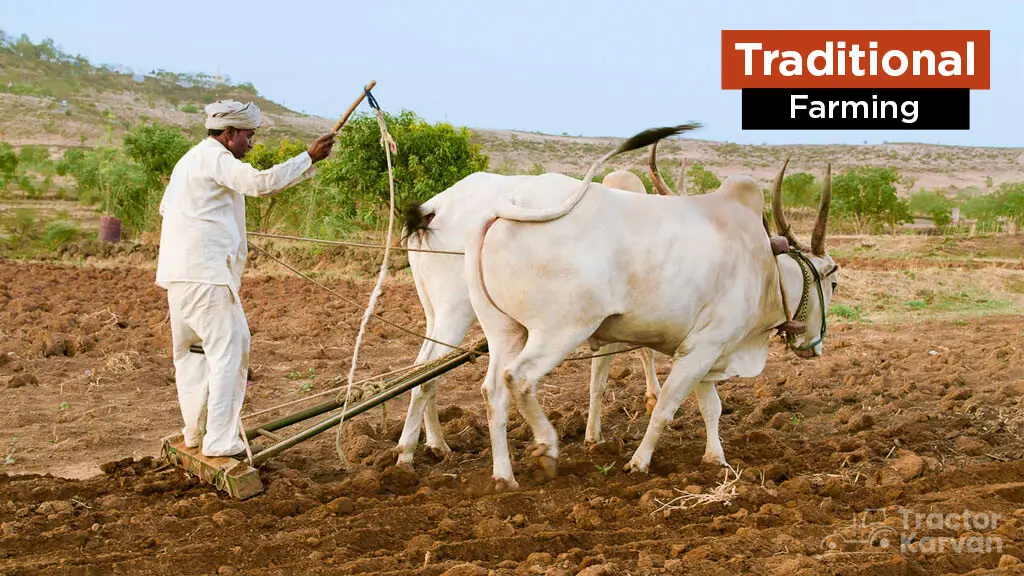 Gambar praktik pertanian tradisional Indonesia