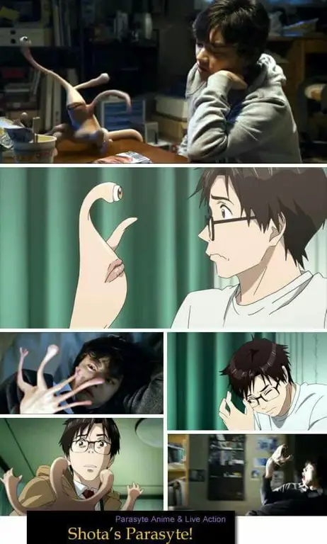 Adegan pertarungan antara Shinichi dan parasit lainnya dalam anime Parasyte.