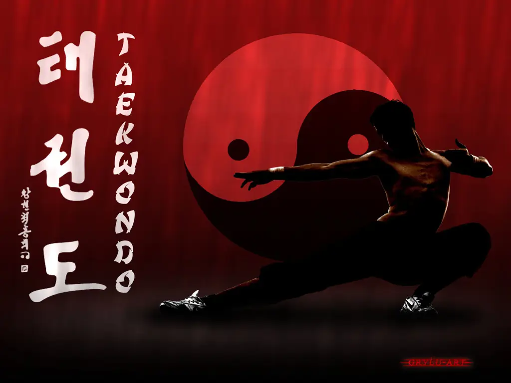 Wallpaper 4K menampilkan karakter anime yang sedang bertarung Taekwondo