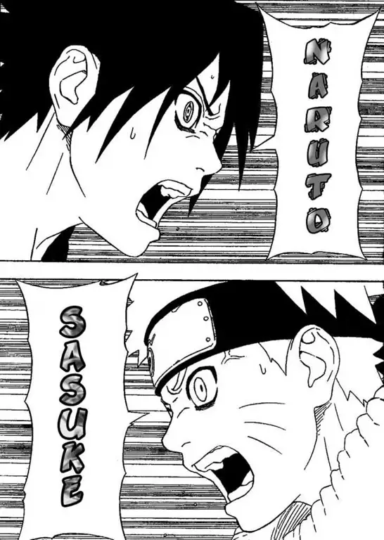 Naruto dan Sasuke bertarung dalam pertempuran final yang menentukan.