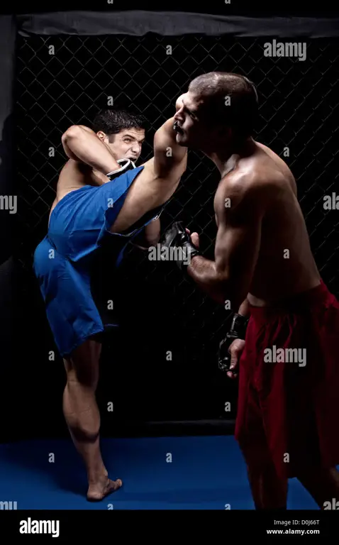 Sekelompok pesilat sedang bertarung