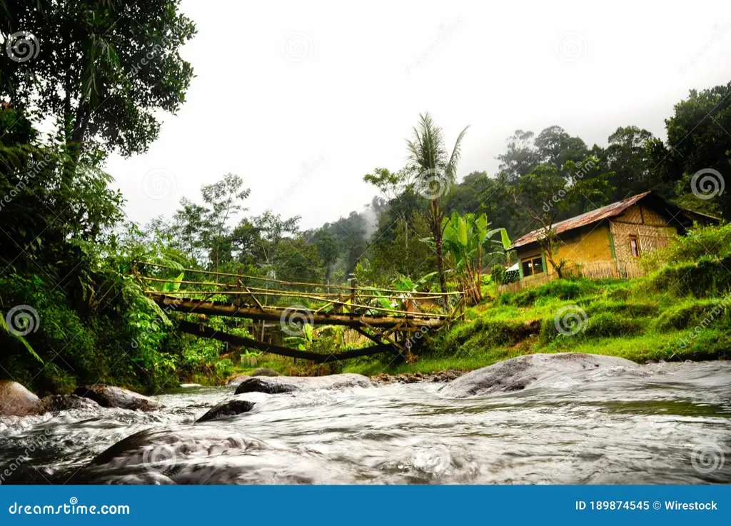 Pemandangan pedesaan yang indah di Bandar Kedungmulyo