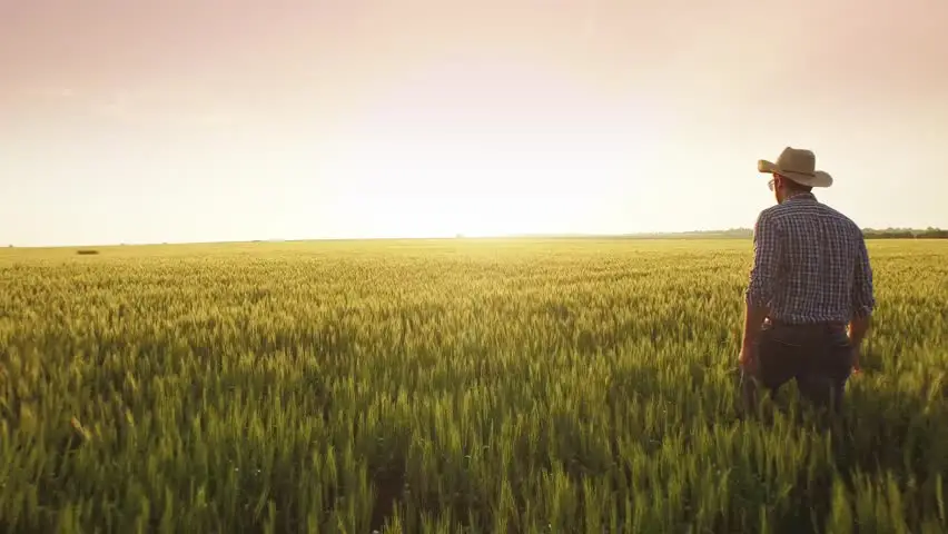 Petani sedang bekerja di ladang