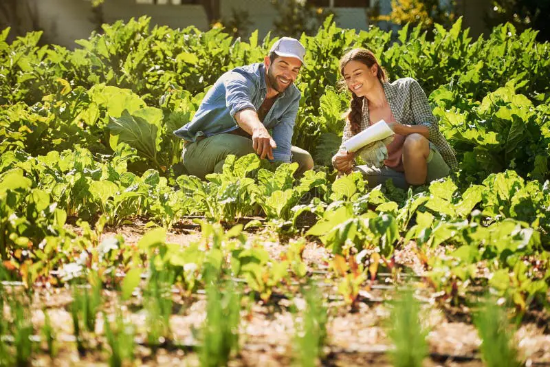 Seorang petani tersenyum bahagia sedang bekerja di ladang