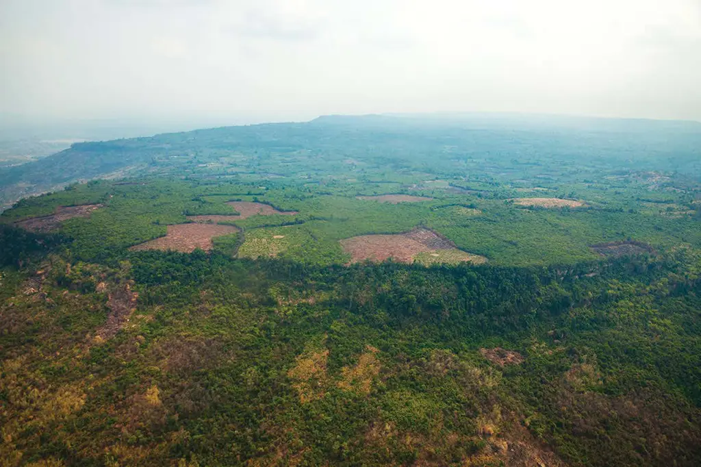 Pendaki di hutan Kamboja