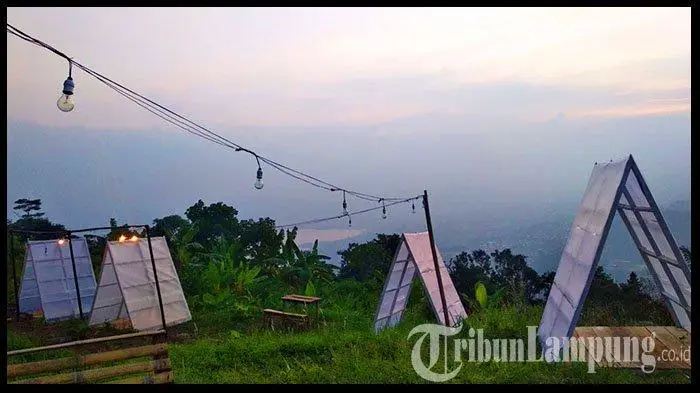 Jalur pendakian Gunung Balau yang menantang namun indah