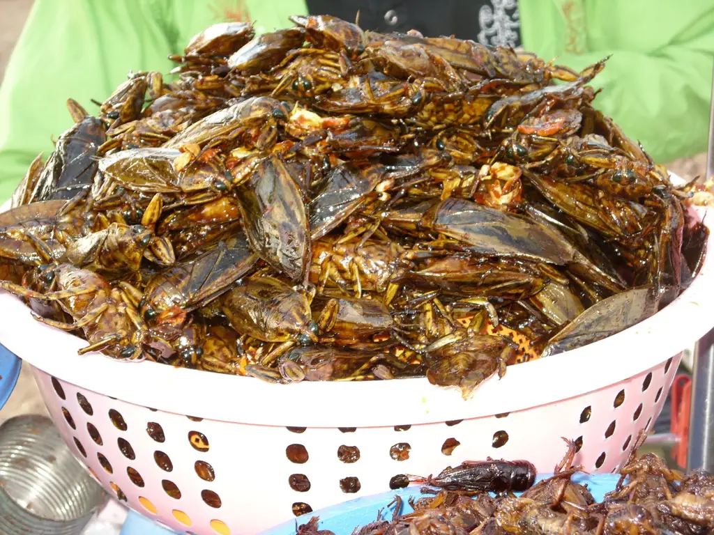 Aneka jajanan kaki lima di Kamboja, termasuk kuliner ekstrim